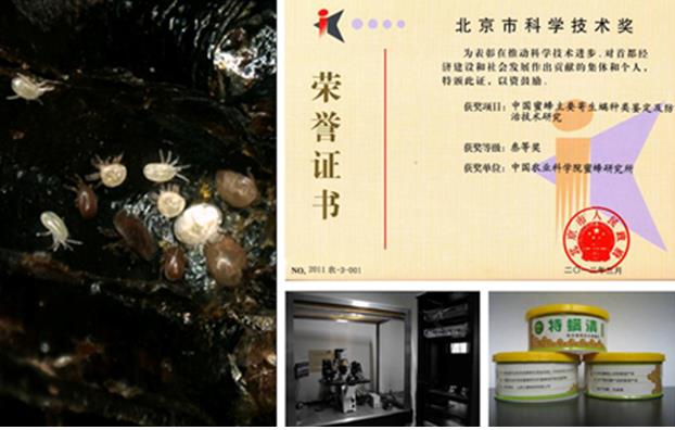 蜂保室荣誉证书.jpg 蜂保室荣誉证书.jpg
