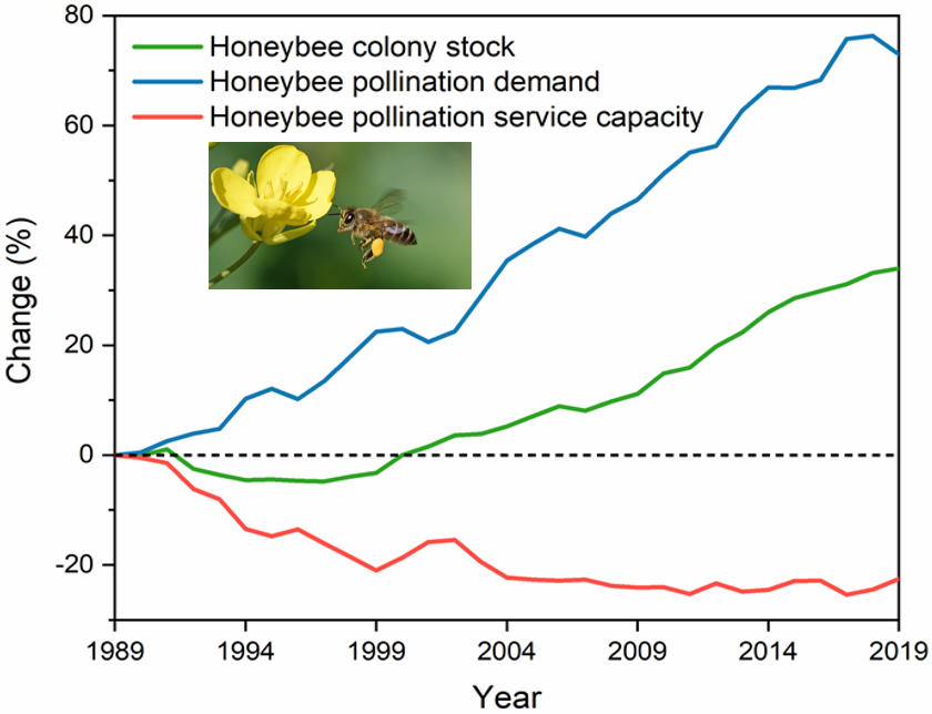 图片1过去30年全球农业授粉需求及家养蜜蜂传粉服务能力变化趋势.png