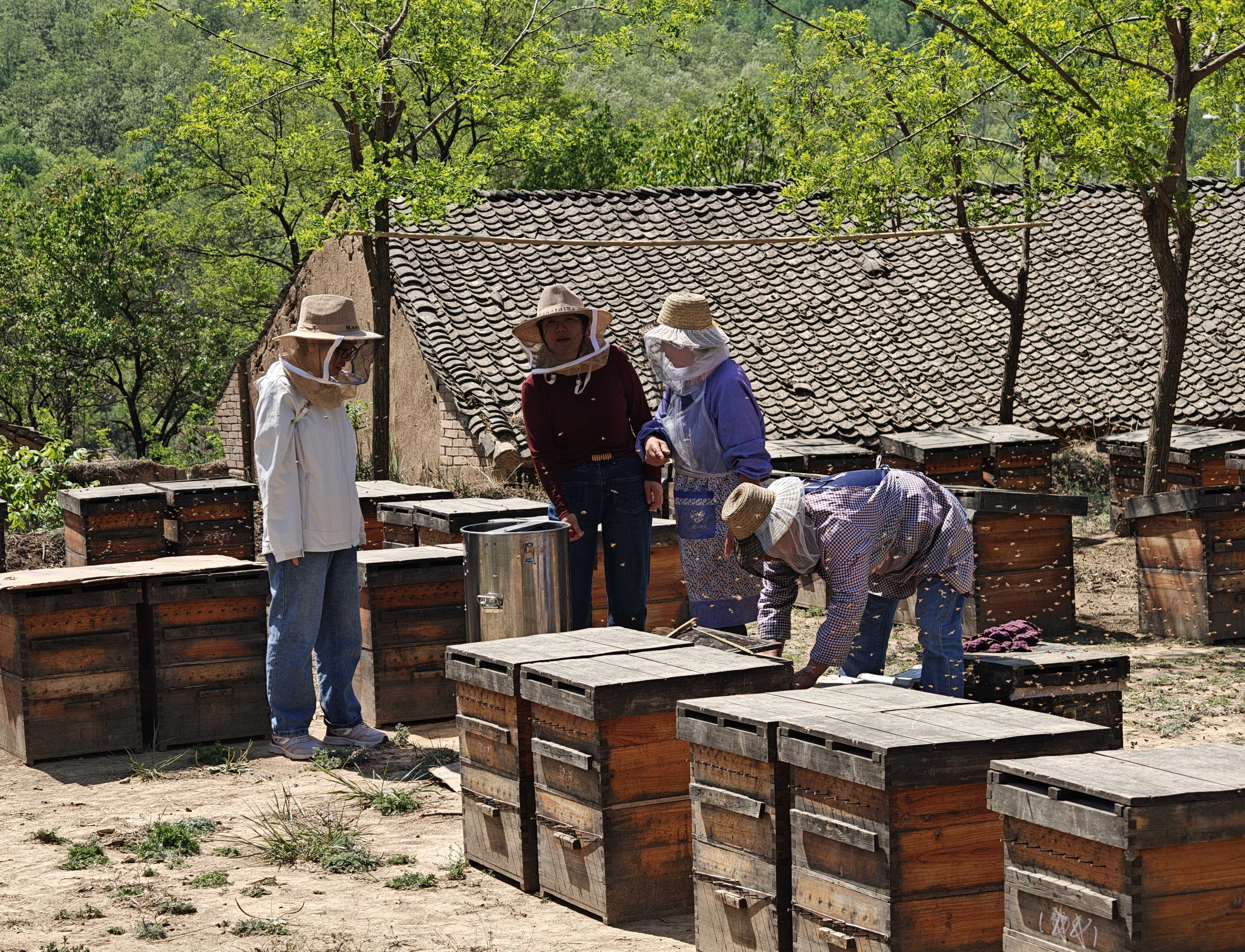 44.探蜜（李瑞珍 摄）(1).jpg