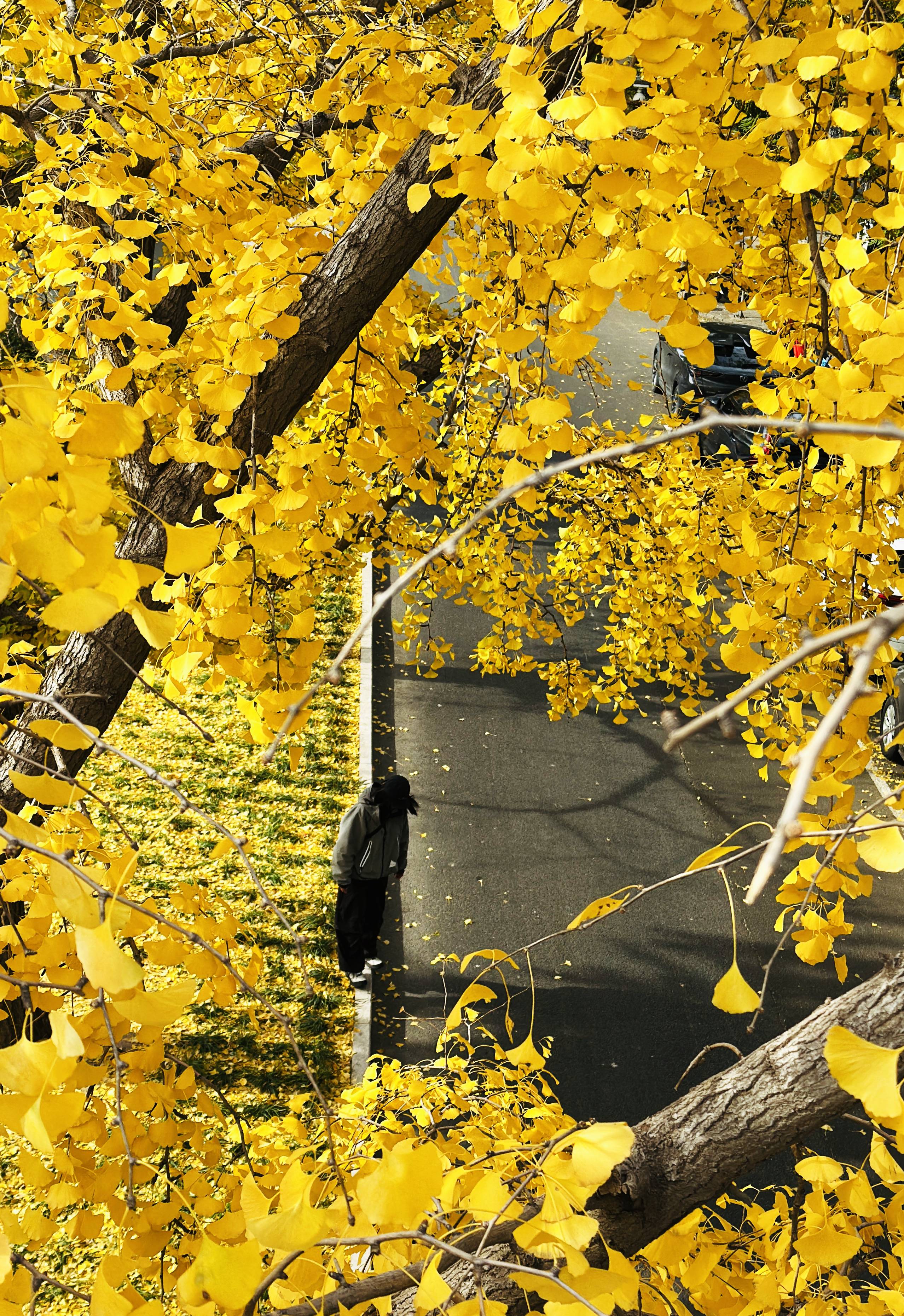 7.洞见（刘世丽 摄）(1).jpg