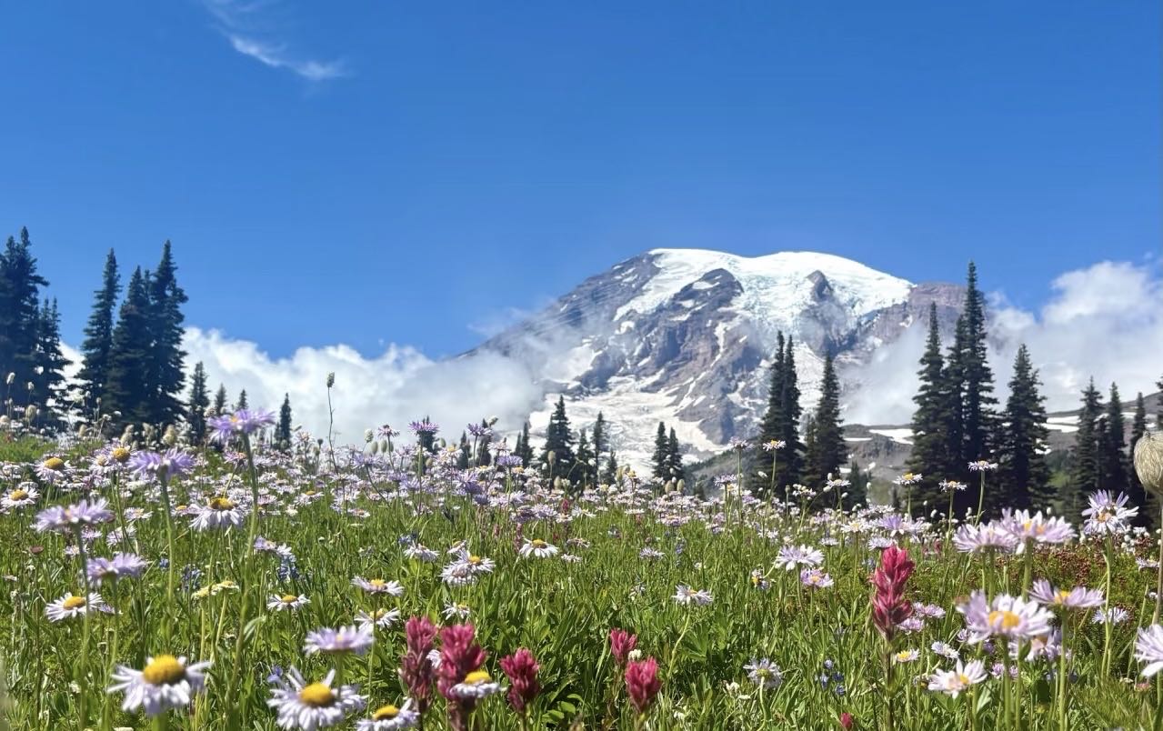 46.秋韵繁花映雪山（刘永军 摄）.jpg