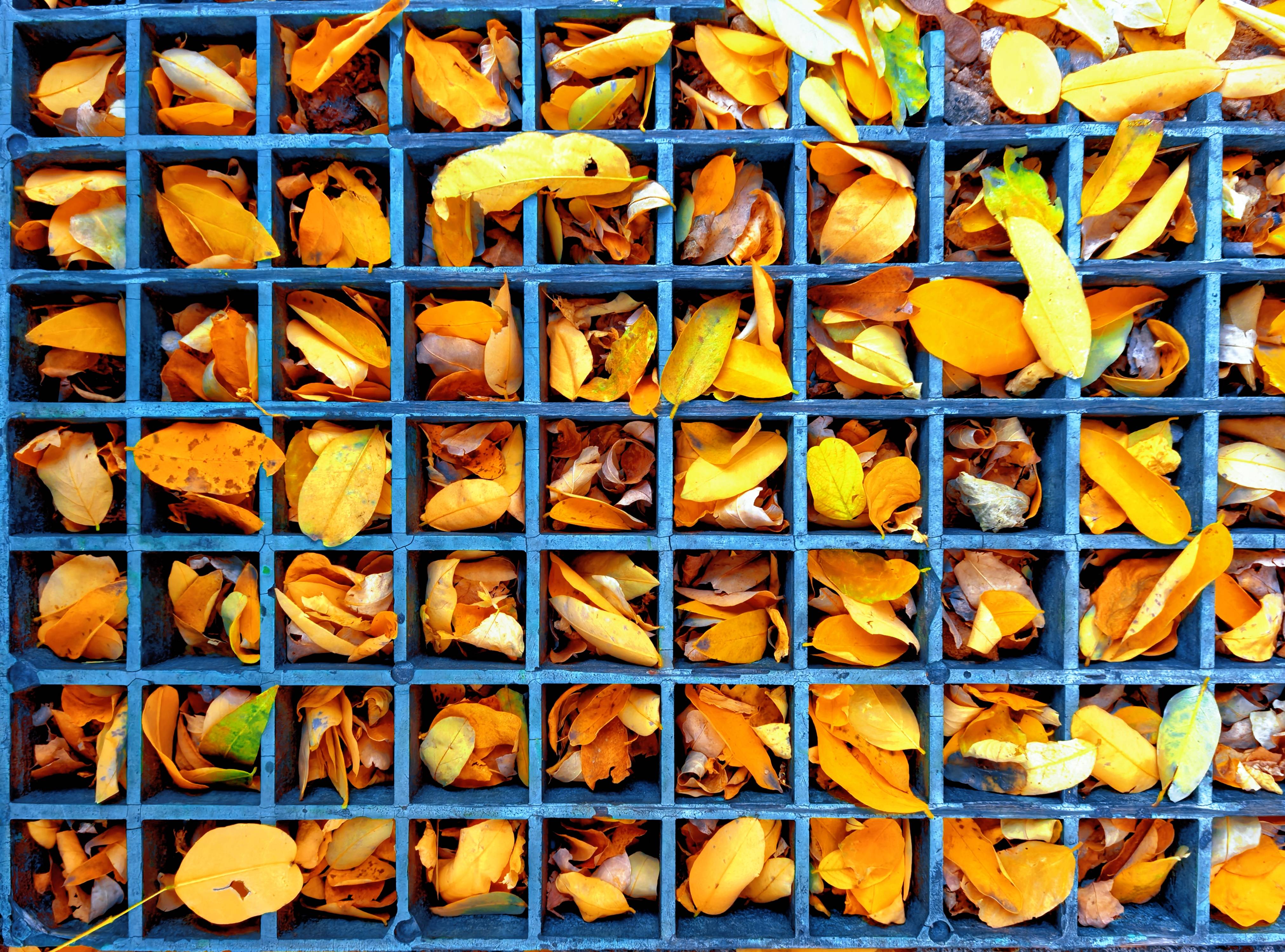 56.秋的像素（金玥 摄）(1).jpg