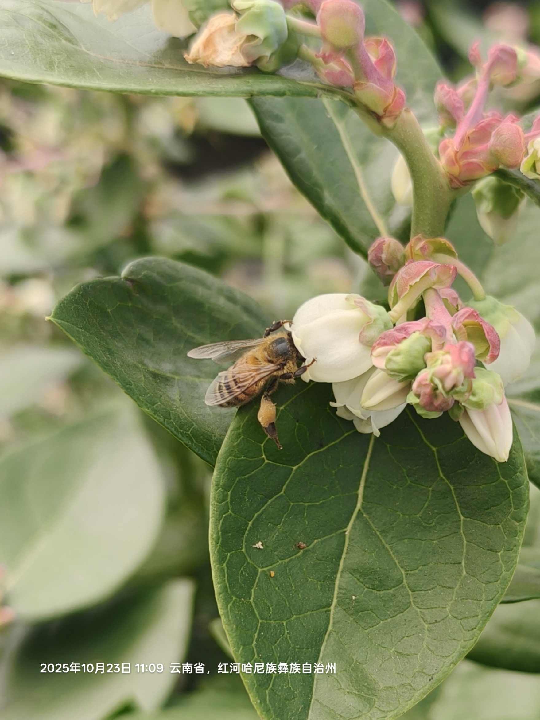 33.望见(国占宝 摄).jpg