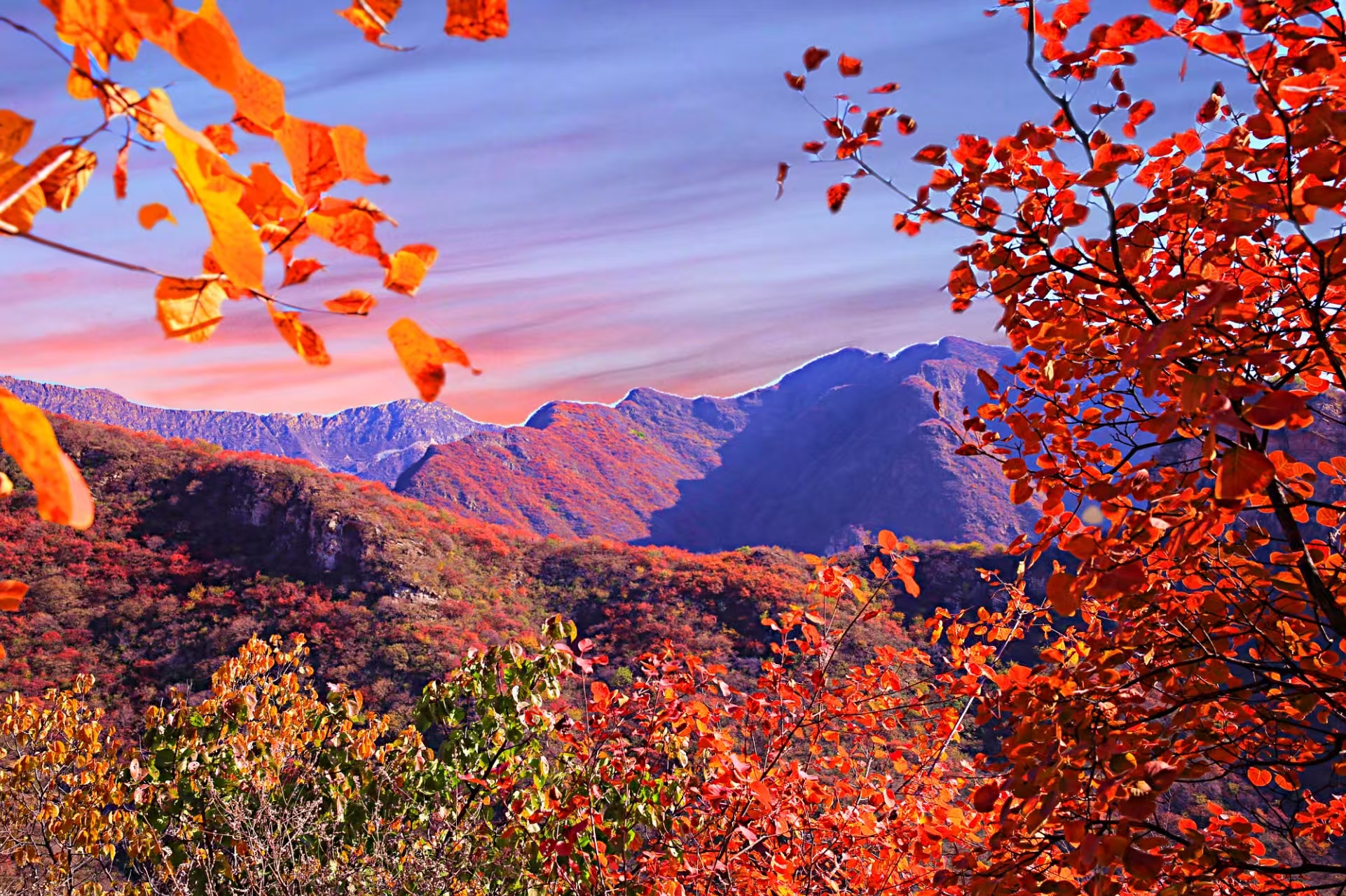 10.层林唤秋（张婷 摄）.jpg